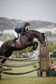 Wie's english plus horse riding gives you the opportunity to improve your english with highly qualified and experienced. Types Of English Horseback Riding