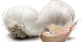 Garlic wonder is a concentrated pest control solution. Make Your Own Garlic Spray