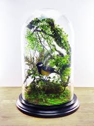 Terrarium Forestiers De Plantes Artificielles Cabinet De Etsy Plant Decor Artificial Plant Arrangements Artificial Plants