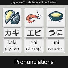 how to say oyster shrimp sea urchin in japanese video learn japanese japanese language learning japanese language lessons
