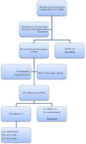 Patient Flow Chart During The Study Dst Drug