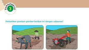 Kunci jawaban tema 2 kelas 3 sd/mi halaman 37, 38, 40, 41, 42, pembelajaran 5, subtema 1 manfaat tumbuhan bagi kehidupan manusia, tema 2 menyayangi tumbuhan dan hewan. Kunci Jawaban Tema 9 Kelas 6 Sd Mi Halaman 28 29 30 33 34 35 37 38 Pembelajaran 2 Subtema 1 Tribun Padang