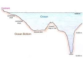 The World Ocean Types Of Ocean Earth Science Lessons Ocean