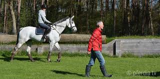 The mongol horse (mongolian адуу, aduu: Our Top Training Tips For Clearing The Cross Country Jumps