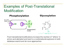 „ physical/chemical reactions to facilitate colorimetric. Protein Modification Database Proteinwalls