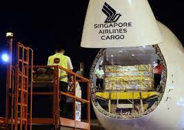 Much like many other vaccines in singapore that are not mandatory, the government has expressed that it wants to respect people's choice. Singapore Panel Recommends Maximum Level Of Covid 19 Vaccine Coverage Reuters