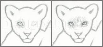 Draw this cute lion by following this drawing lesson. How To Draw A Lion Cub Lion Cubs Step By Step Drawing Guide By Finalprodigy Dragoart Com