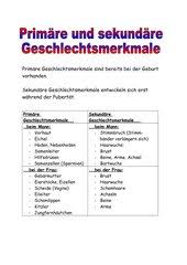 1 8 weibliche geschlechtsorgane ovar, katze, he corpus luteum menstruationis, he. Biologie Arbeitsmaterialien Geschlechtsorgane 4teachers De