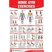 home gym exercises chart