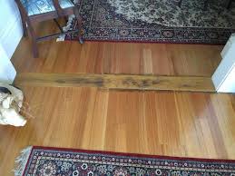 Pinus is the sole genus in the subfamily pinoideae. When Black Japan Floor And When Lime Wash Paint On Your Flooring