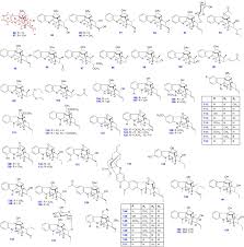 Image result for Rauvolfia mombasiana