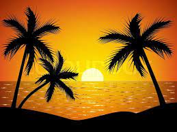 This is available in hd resolution. Palm Trees Silhouette At Sunset Stock Vector Palm Tree Silhouette Palm Tree Sunset Palm Trees