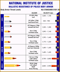 Ballistic Chart Body Armor Guns Ammo Police Gear