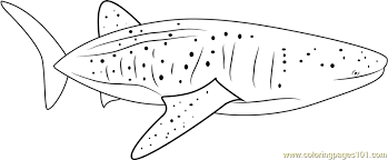 You can search several different ways, depending on what information you have available to enter in the site's search bar. Blue Whale Coloring Page For Kids Free Whale Printable Coloring Pages Online For Kids Coloringpages101 Com Coloring Pages For Kids