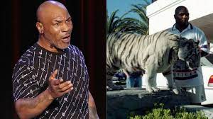 Mike tyson is known to be a big spender, so it comes as no surprise that he's shelled out thousands of dollars to acquire pet bengal tigers. Watch When Mike Tyson Took His His Pet Tiger For A Walk