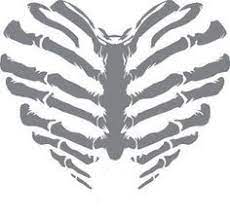 Rib Cage Heart Skull Art Coloring Stickers Skull