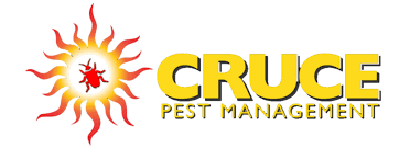 An invasion of ants, an infestation of roaches, and then there are flies, rodents, mosquitoes. 1 Rated Affordable Home Pest Control In Tampa Termite Treatment Riverview Apollo Beach Ruskin Brandon