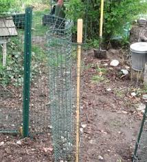 Use string and batter boards to lay out the fence. How To Build A Cheap Temporary Vegetable Garden Fence Vegetable Garden Fence Vegetable Garden Garden Fence