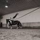 Intro to Equine Vaulting event image