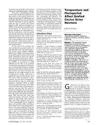 It is native to the sonoran desert in the u.s. Pdf Temperature And Photoperiod Affect Grafted Cactus Scion Necrosis