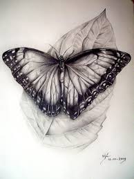 Butterfly By Boy140495 Butterfly Drawing Butterfly Tattoo Designs Bright Art