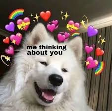 Uwu Meme Aesthetic In 2020 Cute Love Memes Love Memes Cute Memes