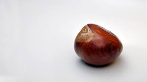 Insbesondere in europa die edelkastanie (esskastanie) pflanzen und früchte der gattung rosskastanien. Welt Deutschland Darmstadt Kastanie Auf Weissem Grund