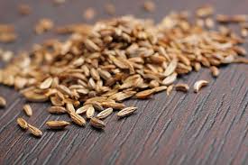 Department of agriculture hardiness zones 5 to 8. How To Plant Grow And Harvest Caraway