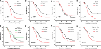 When a stomach (gastric) cancer first develops and is small, it usually causes no symptoms. Multidisciplinary Treatment For Patients With Stage Iv Gastric Cancer The Role Of Conversion Surgery Following Chemotherapy Bmc Cancer Full Text