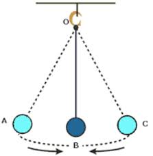 Types Of Motion Class 6 Motion And Measurement Of Distances