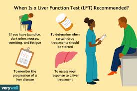 Keep in mind that what's normal can vary with different labs. Overview Of Alt And Ast Liver Enzymes
