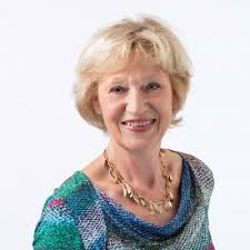 Minke van Velzen op LinkedIn: Officieel geïnstalleerd als raadslid voor D66  Delft . Dank voor het…