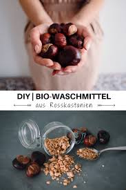Pin Auf Diy Rezepte