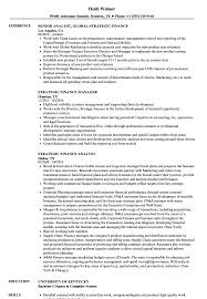 Corporate finance manager job description. Strategic Finance Resume Samples Velvet Jobs
