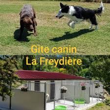 LE GITE CANIN