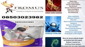 Bel Fitigi Fromus Power Pain Band Bestpowerteam Panosundaki Pin