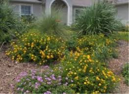 Florida Friendly Yard List Of Florida Native Plants Florida Native Plants Florida Landscaping Growing Grass