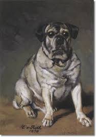 caspar von reth a pug 1890 pugs canine art pug love