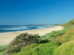 Yamba, burkina faso, a town in yamba department. Pippi Beach 24h Dog Friendly Beach In Yamba Pupsy