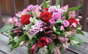 Maybe you would like to learn more about one of these? 7 Romantic Flowers Other Than Roses To Impress Your Love Floweraura