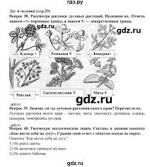 гдз по окружающему миру 4 класс рабочая тетрадь федотова 2 часть Gdz Chast 2 Stranica 29 Okruzhayushij Mir 3 Klass Rabochaya Tetrad Fedotova Trafimova