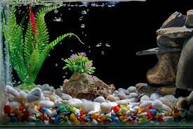 Measure the pipe, marking off the bottom third horizontally with a pencil or. Best Aquarium Decorations Natural Artificial Tank Fillers