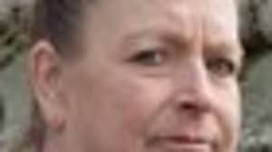 Vet quits SPCA after stray shot dead