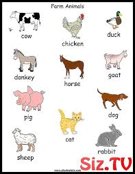 Free Printable Farm Animals Chart Keywordstoddlerp Animals Chart Farm Free Keywo Farm Animals Activities Farm Animals Preschool Animal Activities For Kids