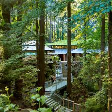 2020 Asla Professional Awards