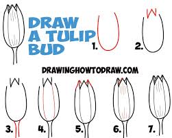 Pin On Drawing Flowers Plants Fruits Vegetables