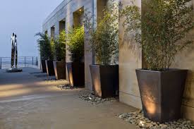 Brilliantly colored bromeliads and orchids mix with leafy. 75 Beautiful Modern Vertical Garden Design Houzz Pictures Ideas May 2021 Houzz