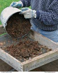 Native soil can also lack necessary nutrients or have less than ideal ph levels for the type of. Soil In Containers Should Be A Good Mix Finegardening