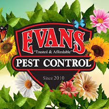 Our inspectors and technicians provide pest control services to businesses and homes in the brisbane, sunshine coast, and gold coast areas. Evans Pest Control Home Facebook