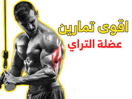 pin on تمارين الترايسبس بالصور